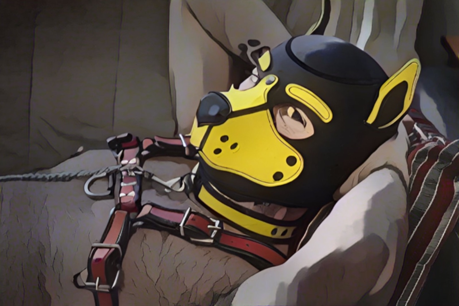 Bad Pup Ash gallery photo